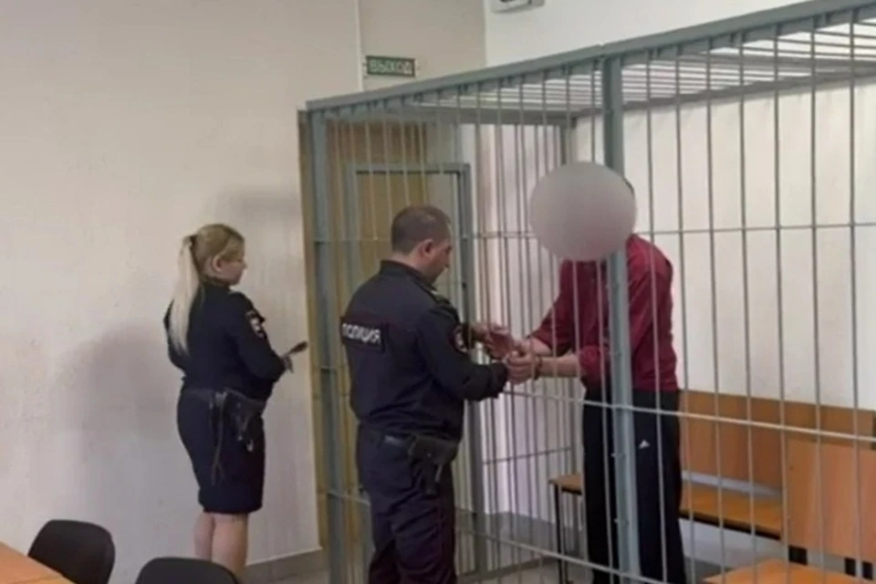 Мужчину взяли под стражу в зале суда