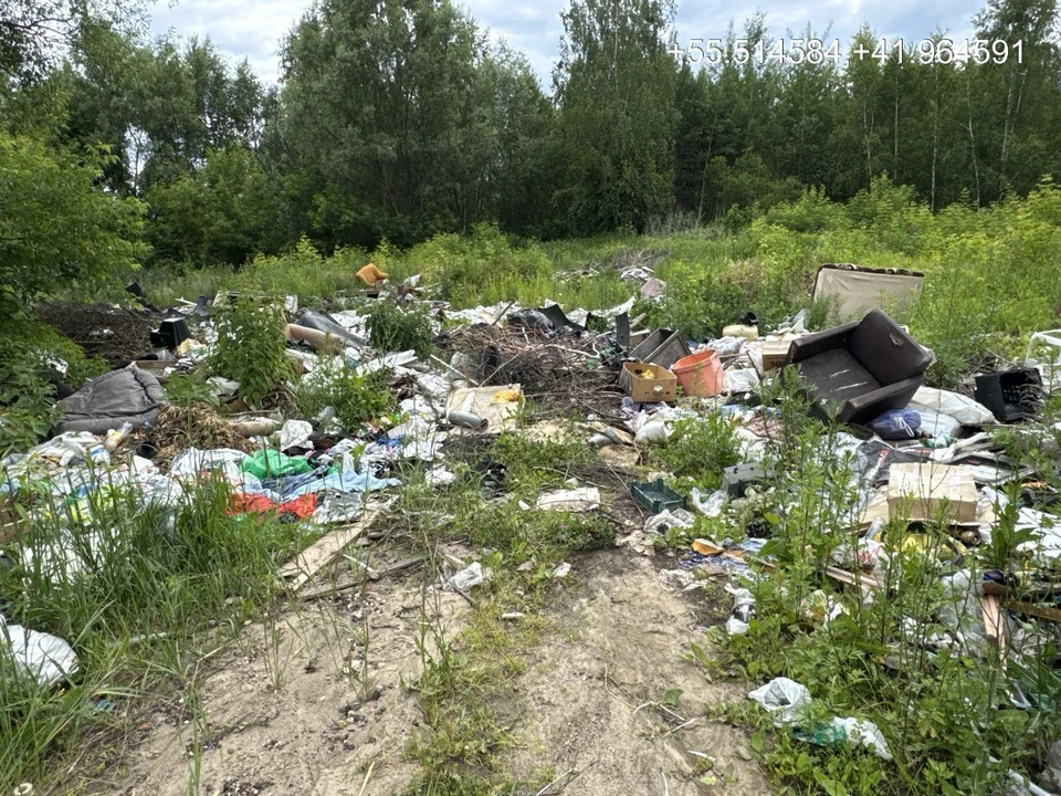 Фото из телеграм-канала прокуратуры Владимирской области.