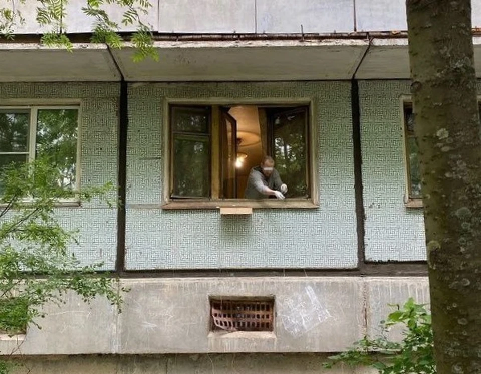 Фото неравнодушной вологжанки. t.me/onlinevvologde35