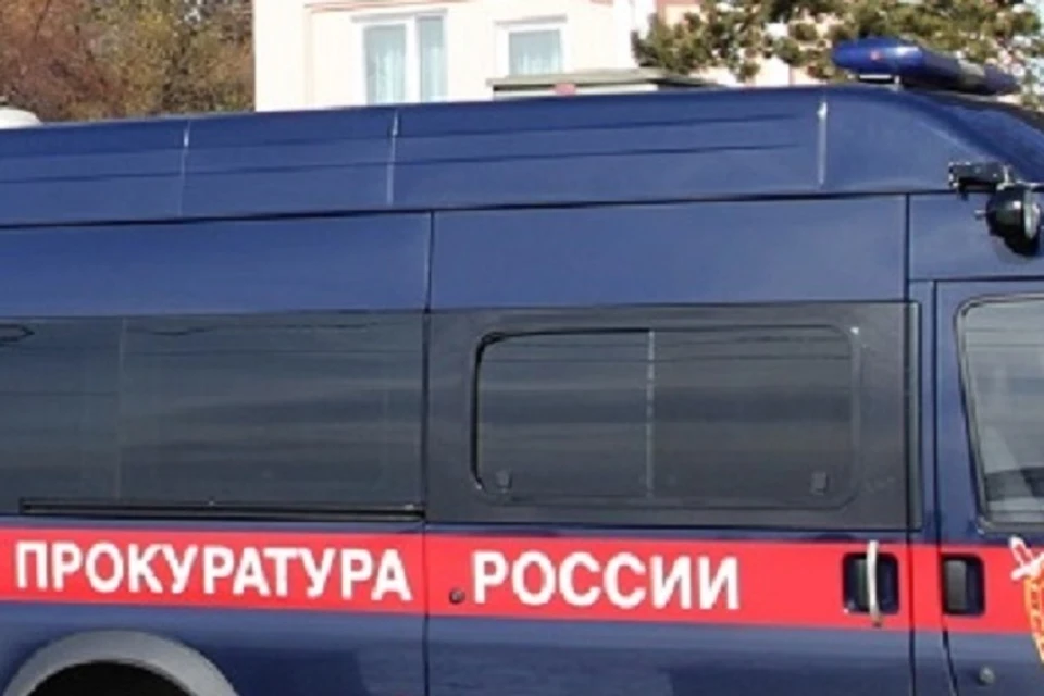 После падения коровы в яму с битумом прокуратура ЕАО начала проверку