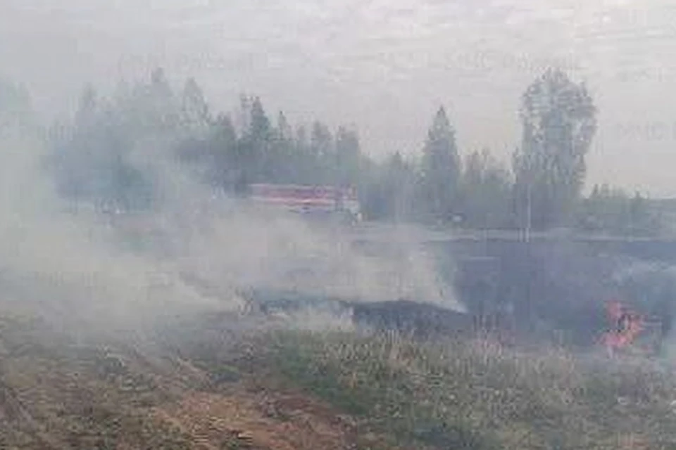 В Иркутской области снизилось количество ландшафтных пожаров
