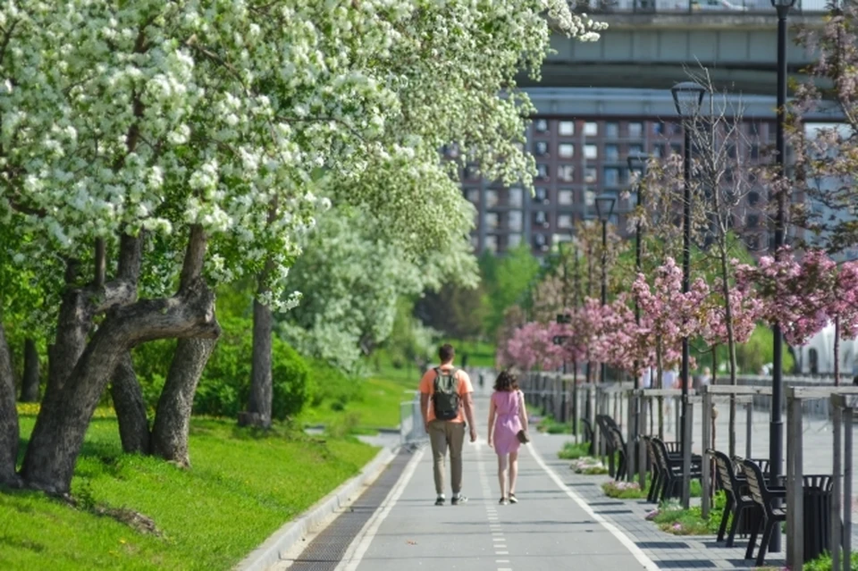 Новосибирск поучаствует в конкурсе на звание культурной столицы 2027 года