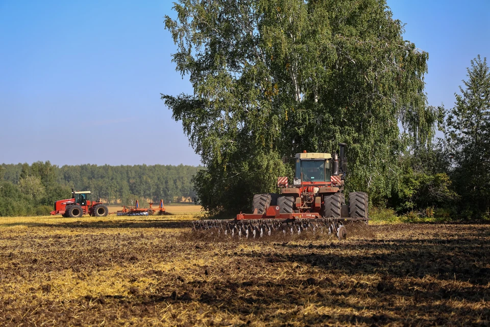 Сельхозземли, украденные преступной группой, вернули через суд