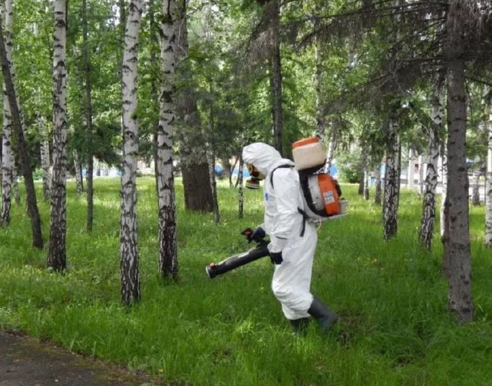 Источник: https://grad.kostroma.gov.ru/