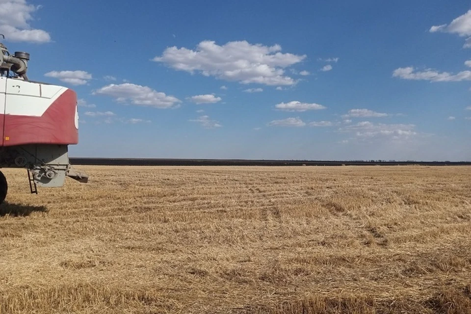 Фермеров в поле обстреляли бандиты ВСУ. Фото: тг-канал Павла Филипчука