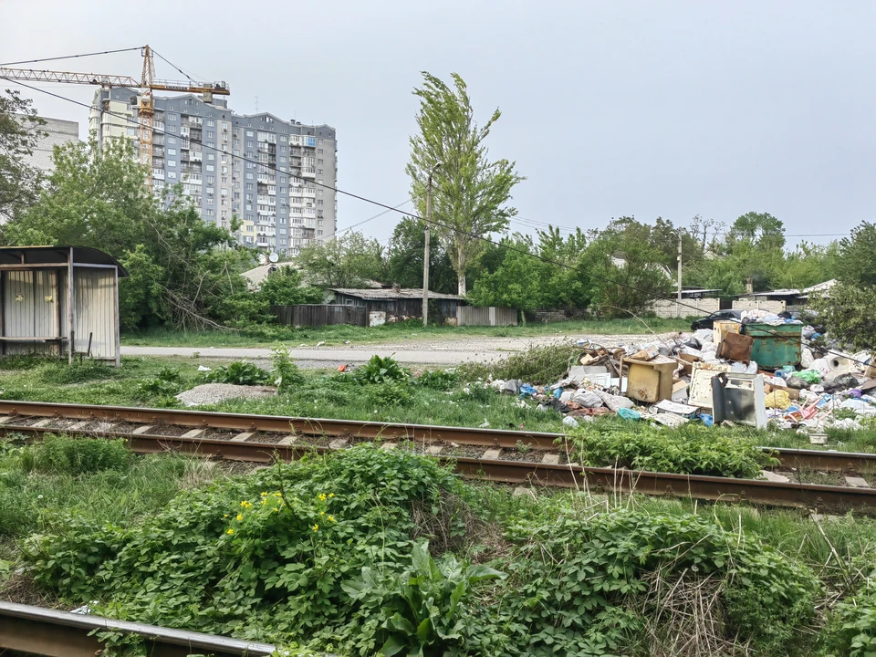 Фото: архив "КП".