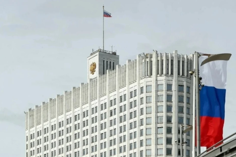 Кабмин РФ поддержал проект об увеличении штрафов для владельцев собак и приютов