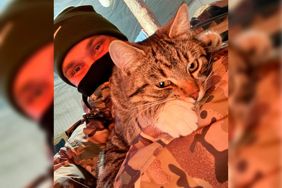Полосатый мурлыка нежно привязан к своему хозяину. Фото: пермское региональное отделение Народного фронта.