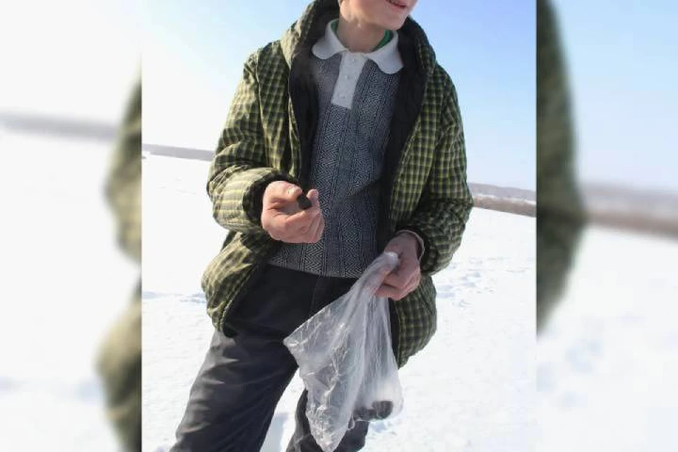 29 марта Боря отпросился у родителей на прогулку с друзьями.