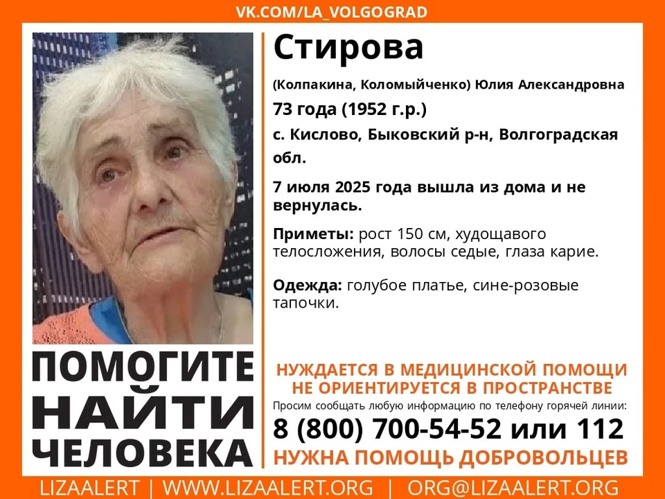 Фото: Лиза Алерт.
