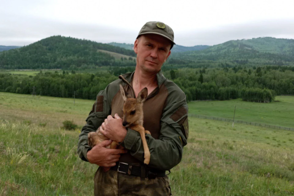 Пламя подбиралась все ближе: новорожденную косулю выходили в Забайкалье. Фото: Иван Бузинов, "Заповедное Забайкалье".