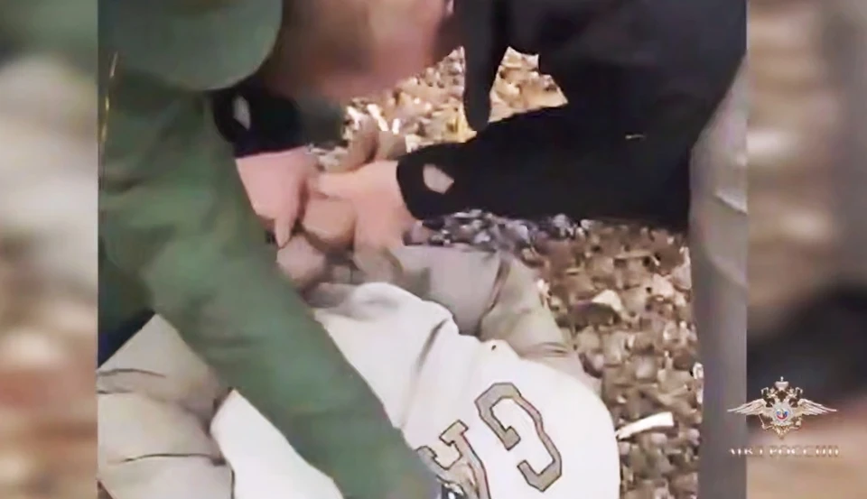 СК опубликовал видео задержания обнинских похитителей.