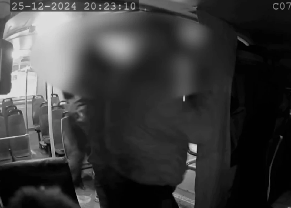 Жителю Сосновоборска грозит до пяти лет колонии за хулиганство в автобусе. Скриншот: видео МВД края