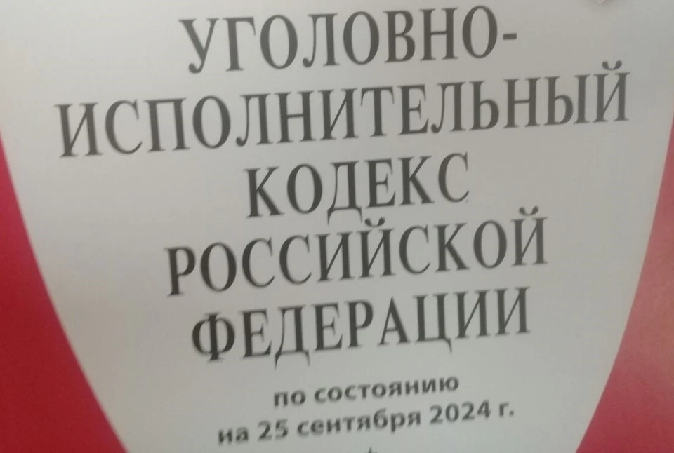 Материалы уголовного дела по ч. 3 ст. 30, ст. 275 («Государственная измена»), ч. 1 ст. 322 («Незаконное пересечение государственной границы РФ») направлены в суд.
