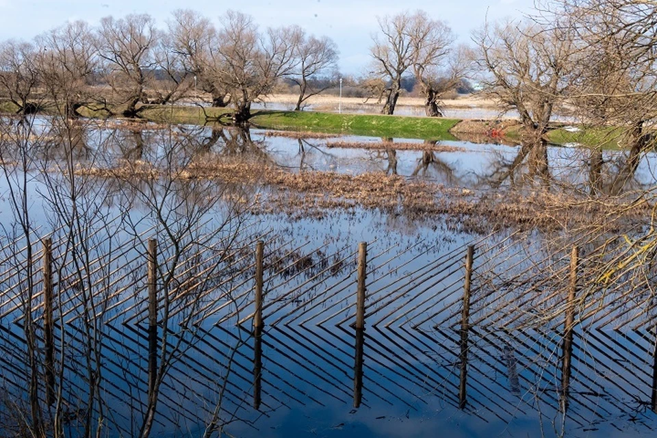 Все подтопленные участки освободились от воды в Хабаровском крае