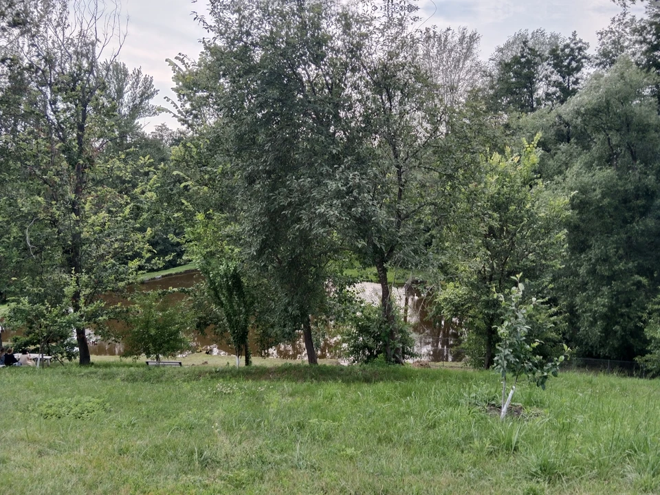 В регионе будет до +36