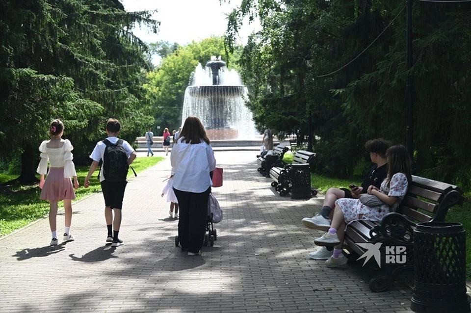 Фотосессии в дендрариях хотят сделать платными