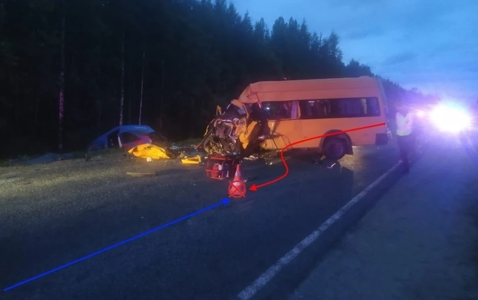 Фото: Госавтоинспекция Коми