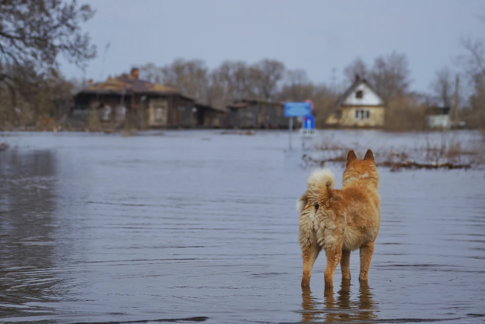На реках Якутии зафиксирован резкий подъем воды