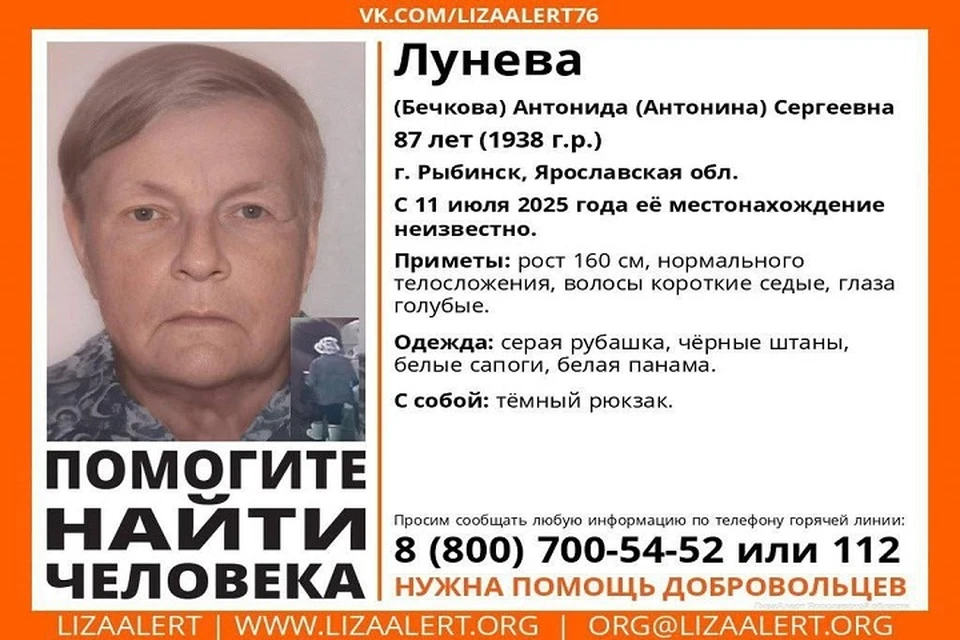 Женщину не могут найти с 11 июля. Фото: ЛизаАлерт Ярославская область