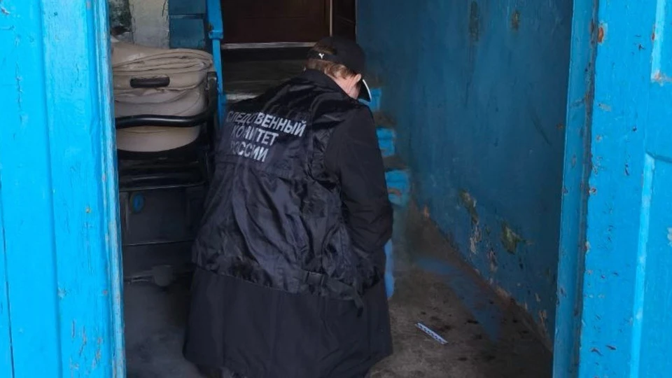 Прервать нападение удалось благодаря вмешательству очевидцев. Фото: Следком Камчатки