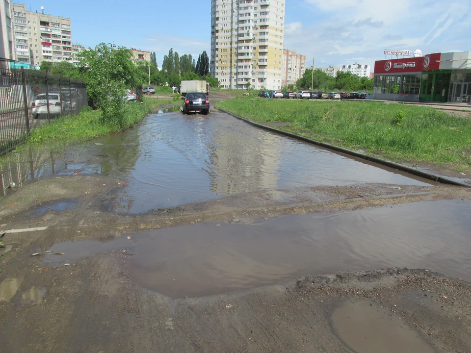 Фото Елены Федяшевой