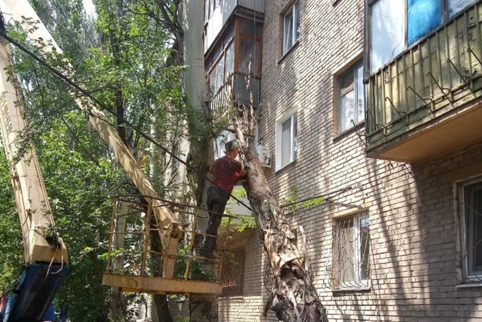 Ураганный ветер повалил деревья и повредил дома. Фото: Минстрой ДНР