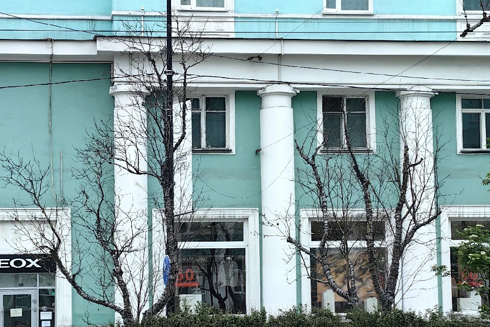В августе планируется демонтировать гирлянды с деревьев, которым требуется санитарная обрезка. Фото: t.me/pogoda51