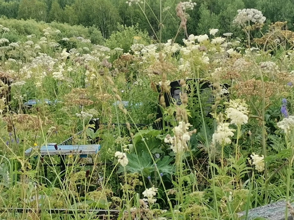 Фото Людмилы К.