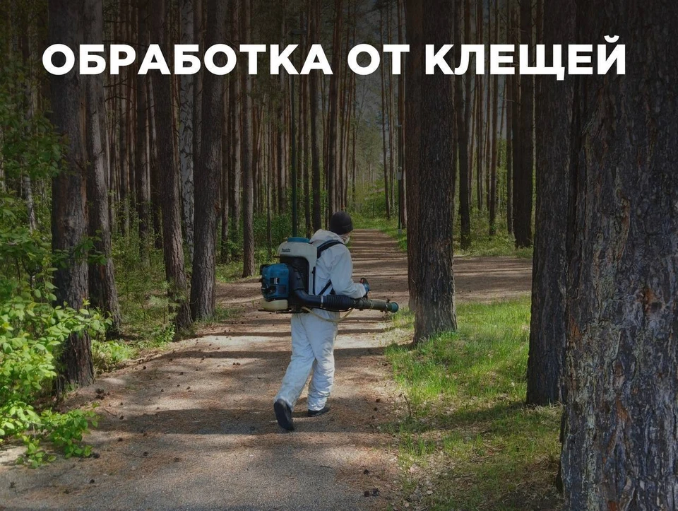 Фото: эко-парк «Гремячая грива»