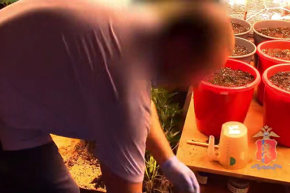 Скриншот: видео МВД Красноярского края