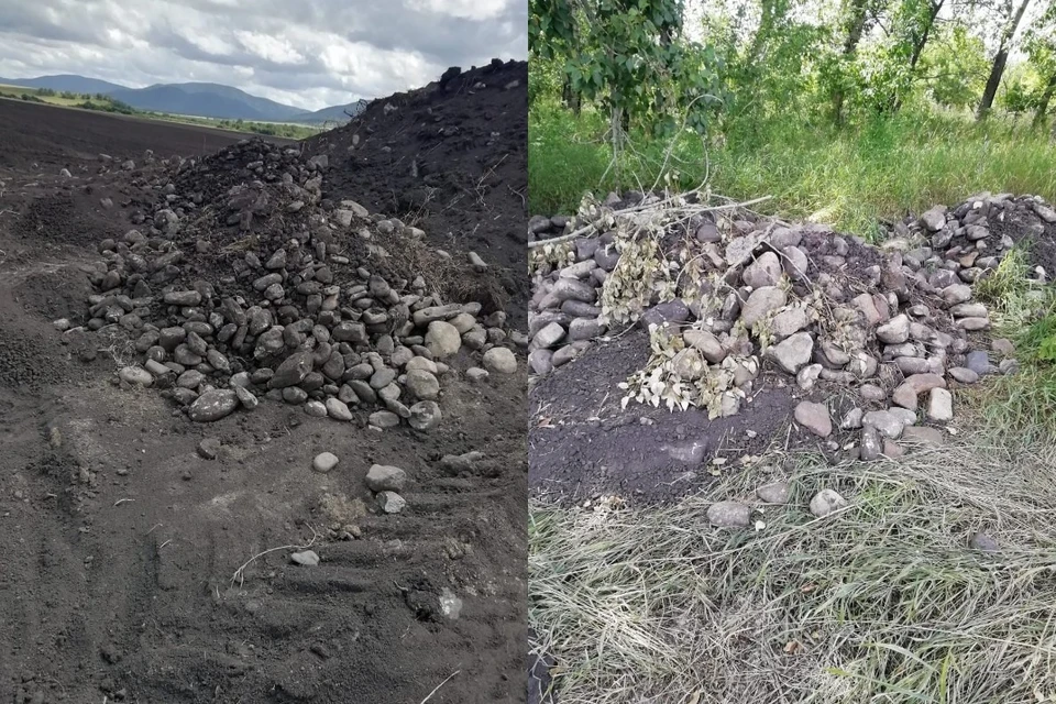 Насыпи уникальных курганов сгребли в бесформенные кучи. Фото Натальи Кунгуровой