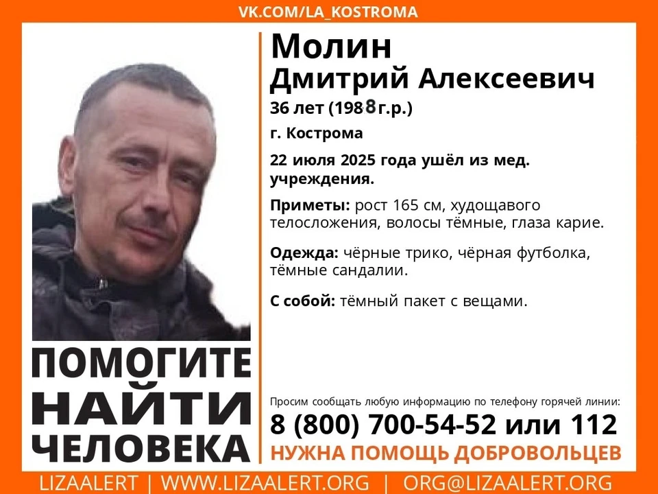 Фото: ДПСО "ЛизаАлерт" Костромской области
