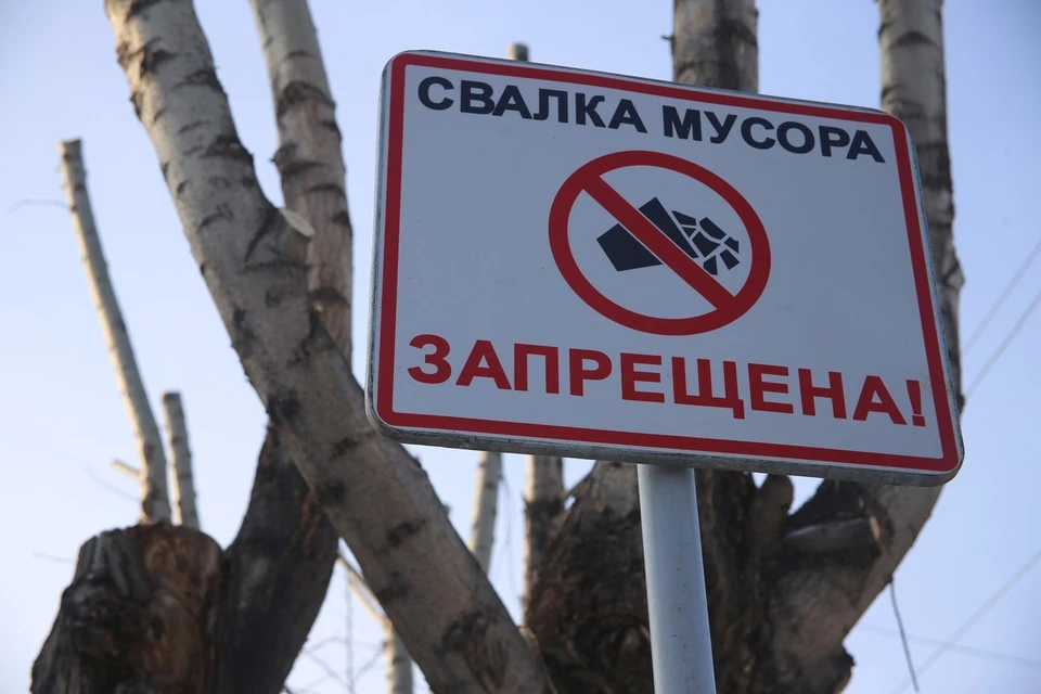 В регионе ликвидируют 250 несанкционированных свалок