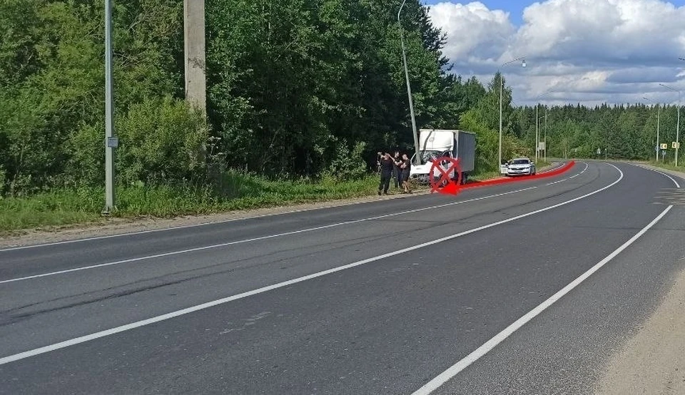 Фото: Госавтоинспекция Коми