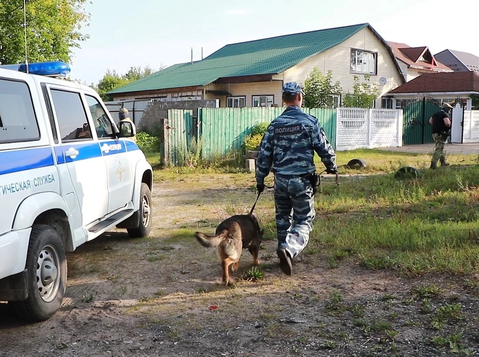 Кадр из оперативной съемки.