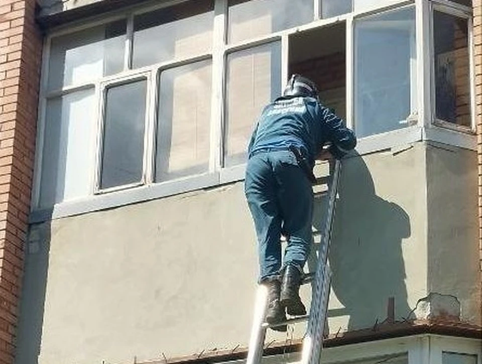 Фото: УГЗ