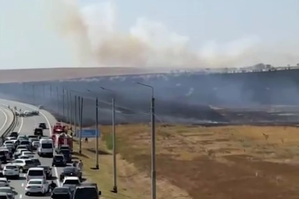 Скриншот из видео телеканала НТВ