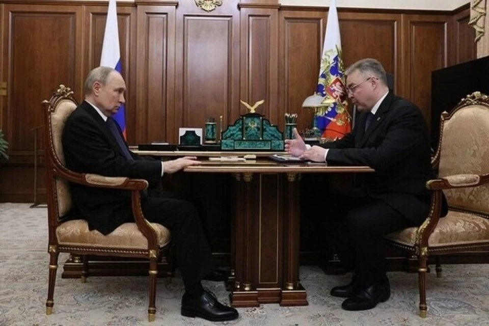 Президент Владимир Путин встретился с губернатором Ставрополья Владимиром Владимировым. Фото: сайт Кремля