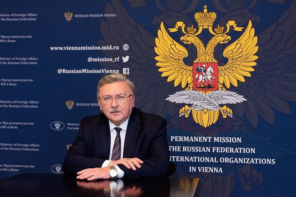 Постоянный представитель РФ при международных организациях в Вене Михаил Ульянов