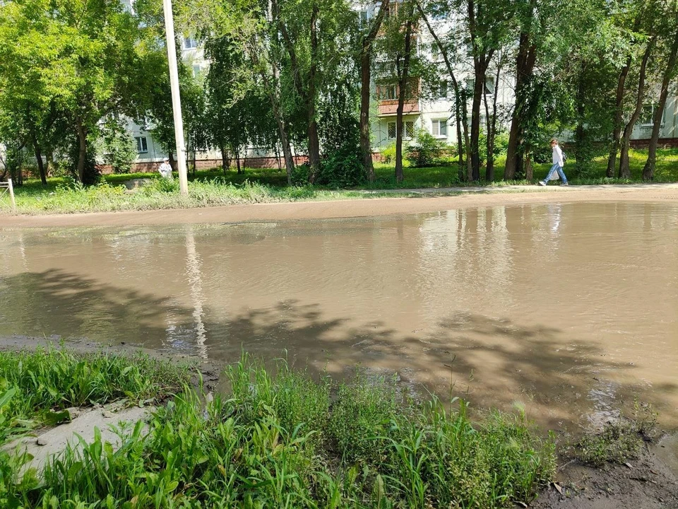 Фото: «ЧП Омск»
