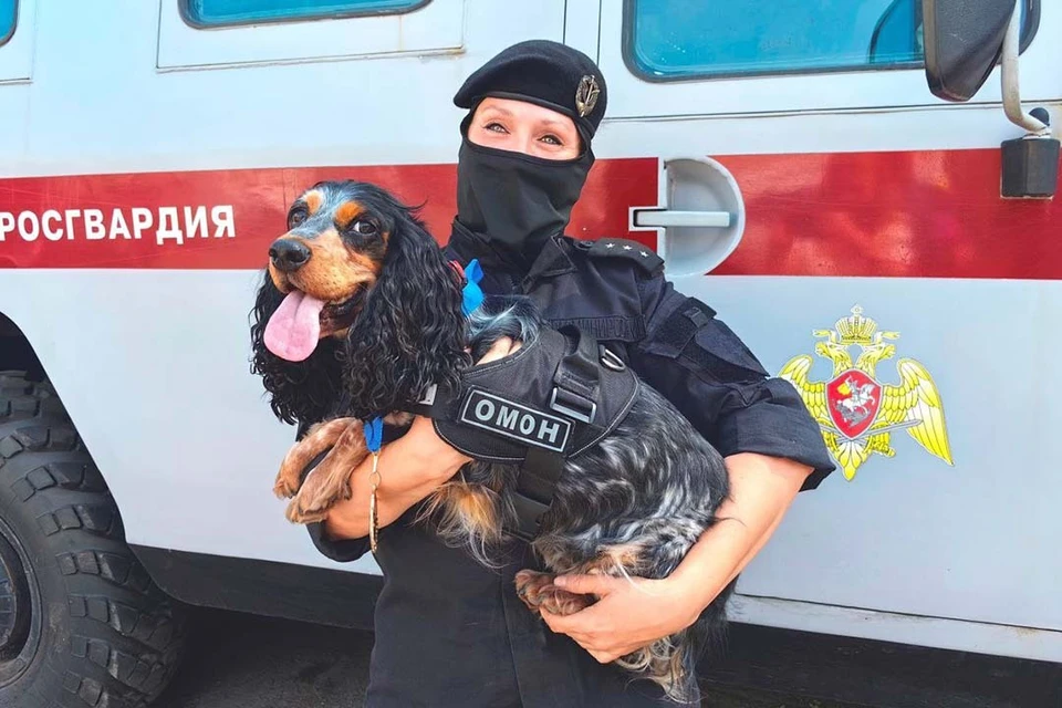 Чуткому носику удалось обнаружить более 30 взрывоопасных предметов. Фото: t.me/rosgvard78