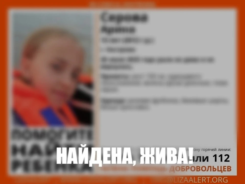 Фото: ДПСО "ЛизаАлерт" Костромской области