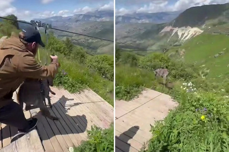 Катание осла на зиплайне — это не фантастика. Фото: стоп-кадр видео из соцсети.