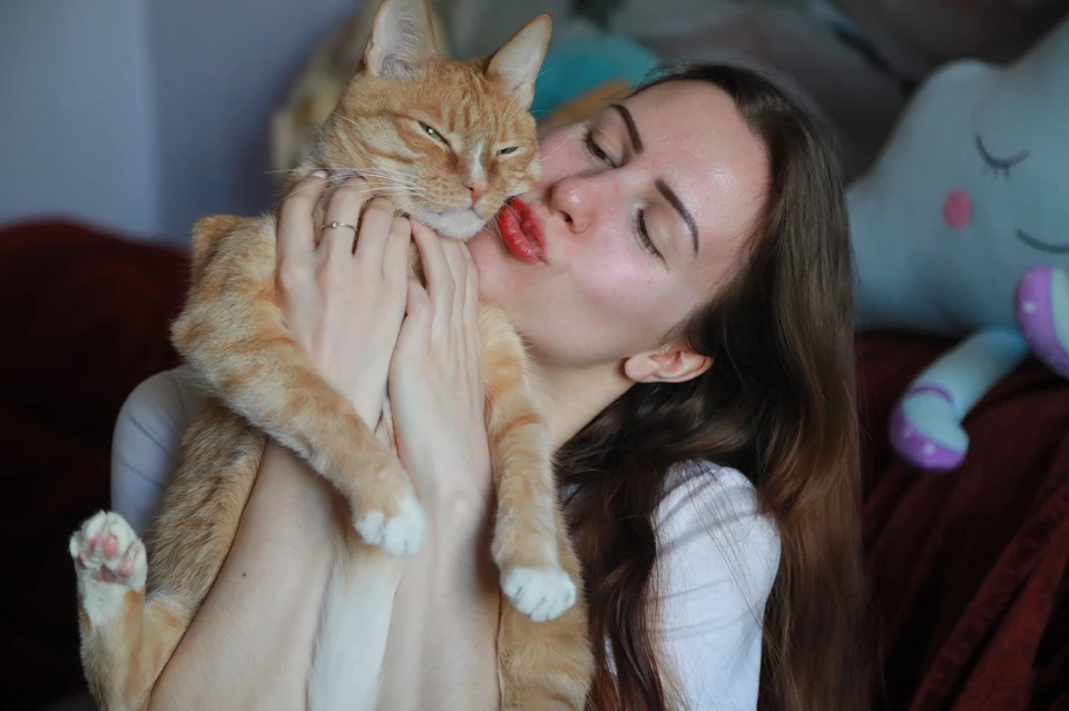 Иногда то, что думает кот, можно понять по его поведению.