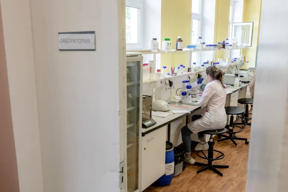 Табачную белокрылку обнаружили в срезах эустомы из Китая — партию частично уничтожили
