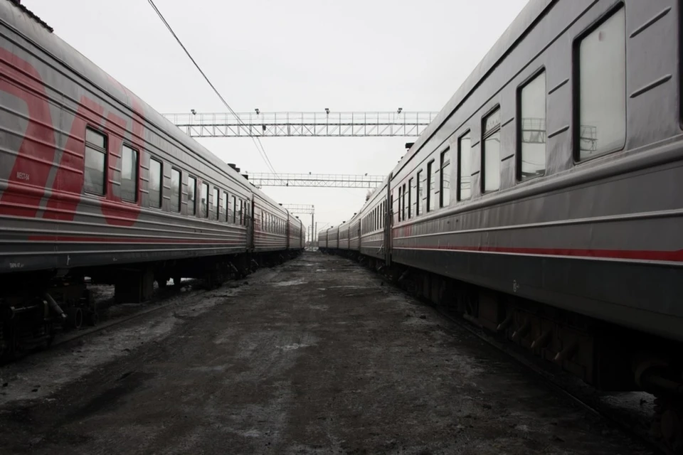 Все заболевшие проходят необходимое лечение и находятся под медицинским наблюдением.