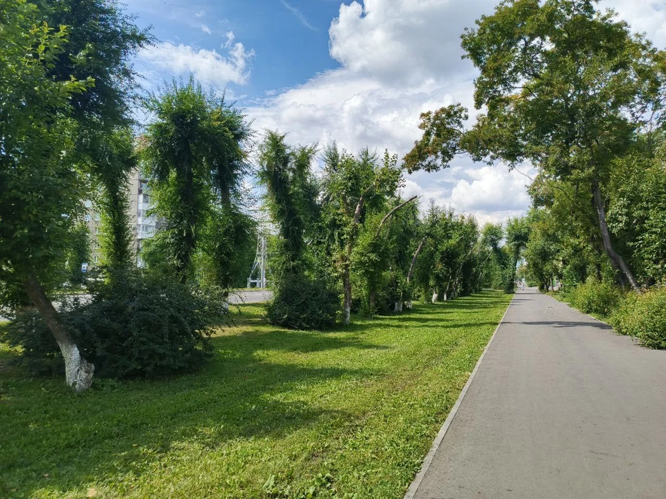 Фото: телеграм-канал Дениса Ильина.