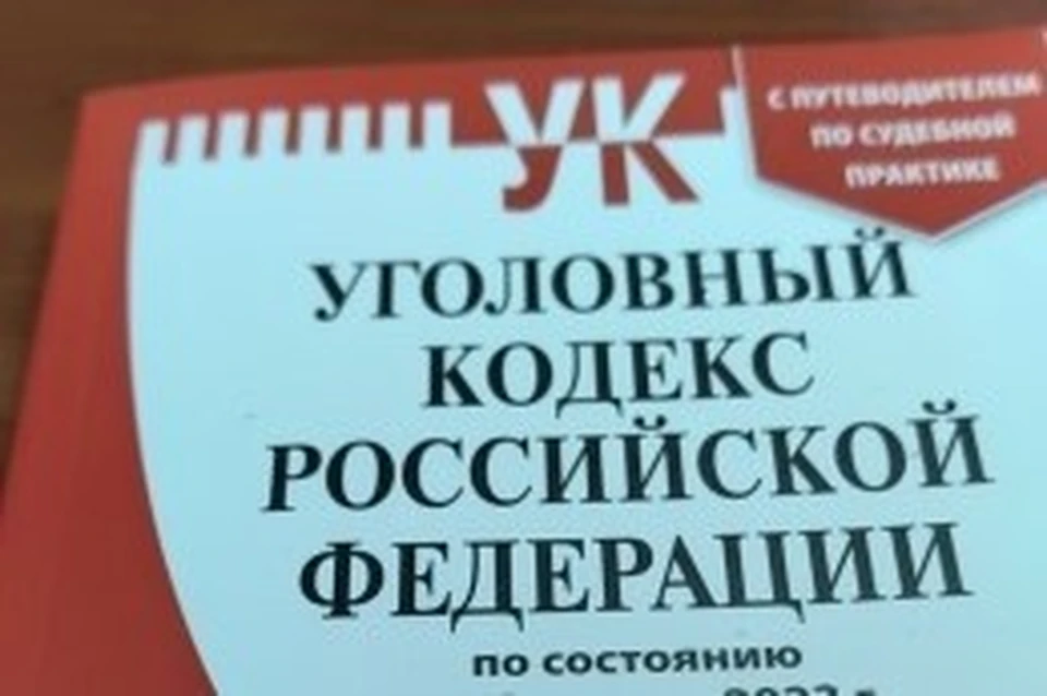 Фото: Пресс-служба регионального СК