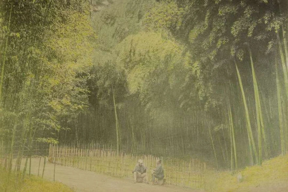 Неизвестный автор. Бамбуковая роща. 1890-е. Фото предоставлено «РОСФОТО».